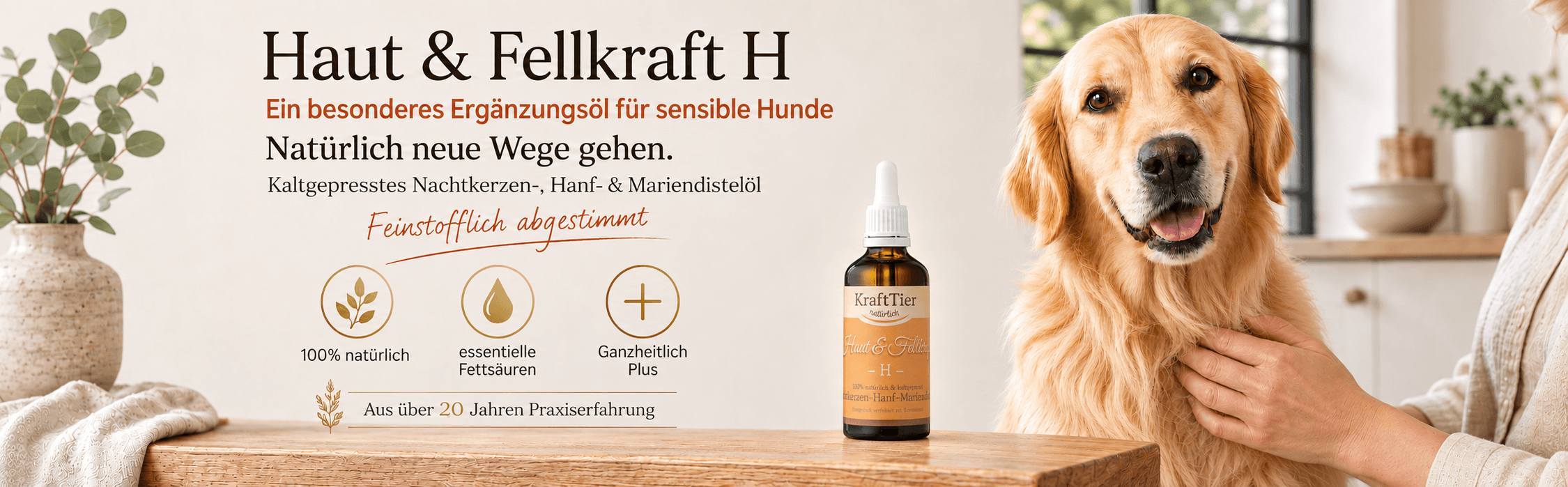 Juckreiz beim Hund